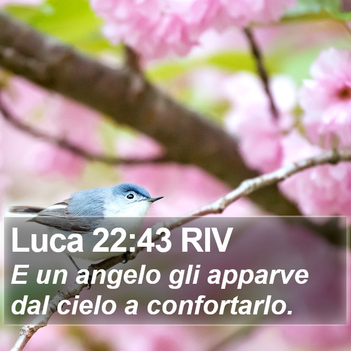 Luca 22:43 RIV Bible Study