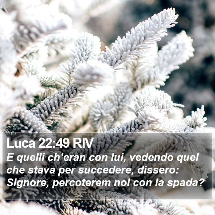 Luca 22:49 RIV Bible Study