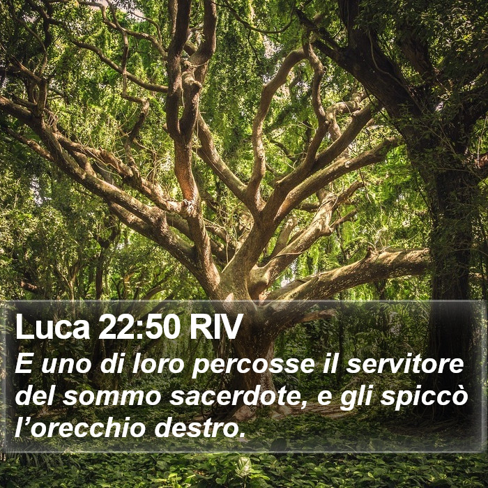 Luca 22:50 RIV Bible Study