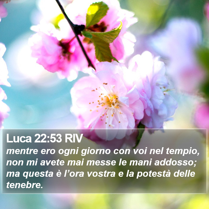 Luca 22:53 RIV Bible Study