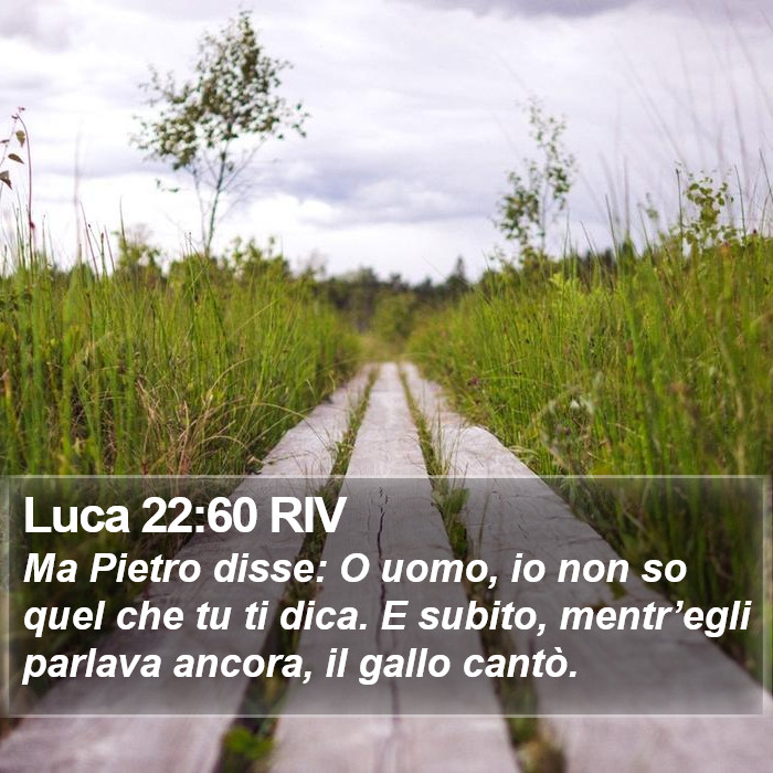 Luca 22:60 RIV Bible Study