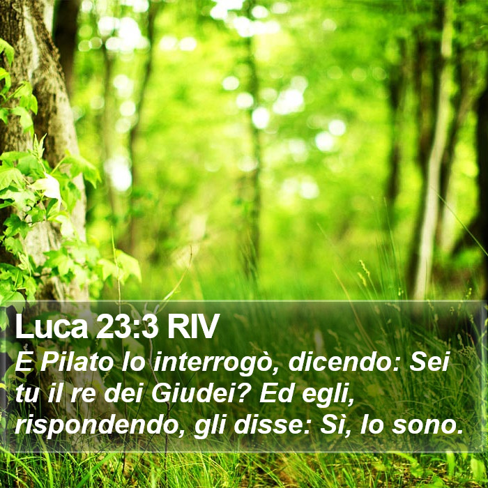 Luca 23:3 RIV Bible Study