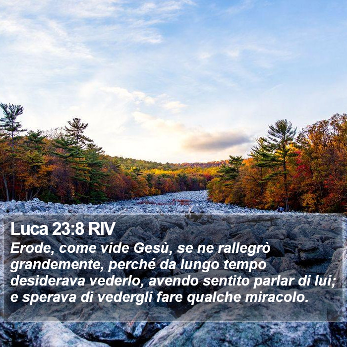 Luca 23:8 RIV Bible Study