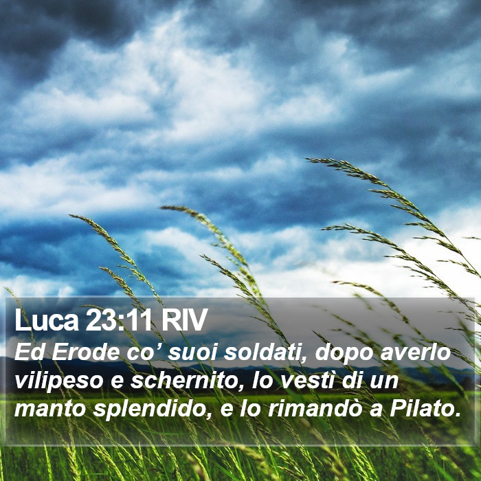 Luca 23:11 RIV Bible Study