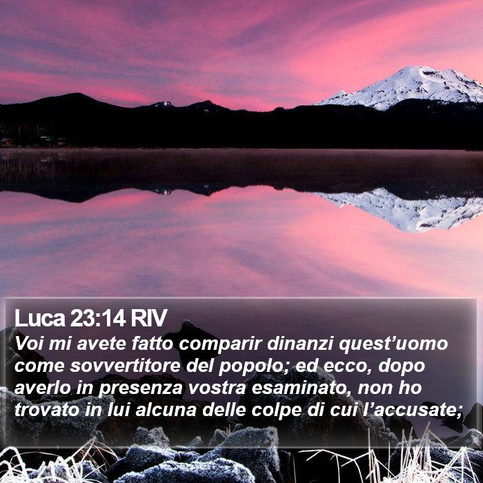 Luca 23:14 RIV Bible Study