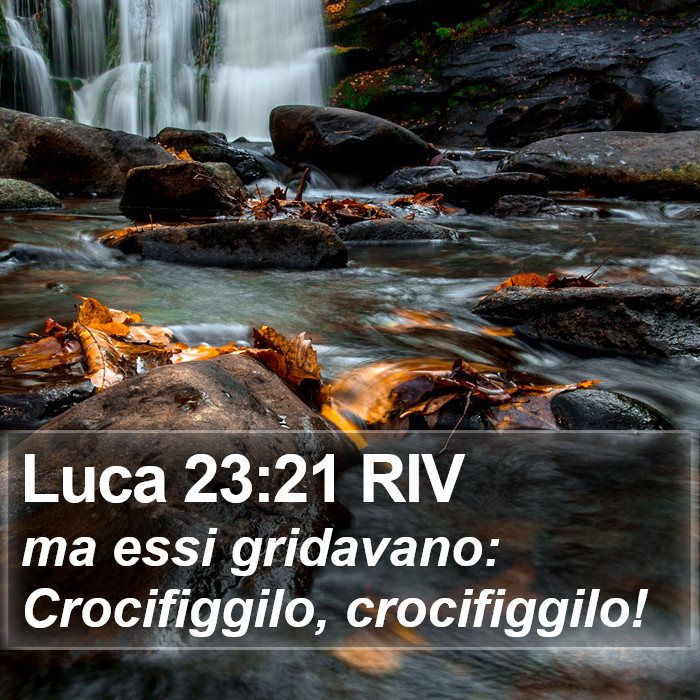 Luca 23:21 RIV Bible Study