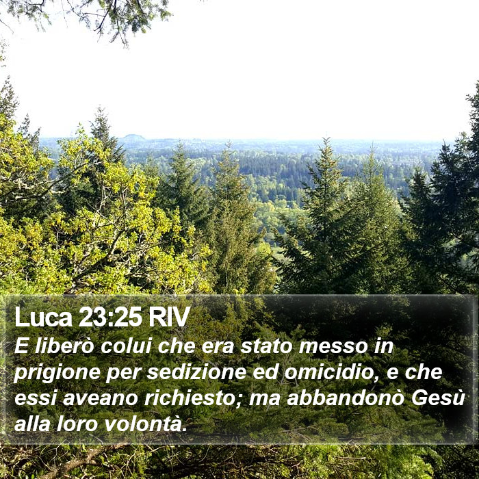 Luca 23:25 RIV Bible Study