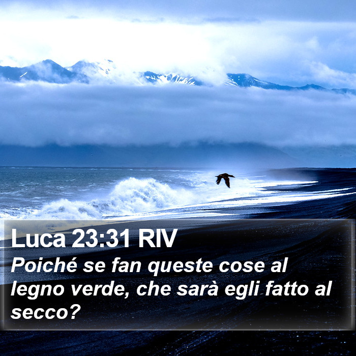 Luca 23:31 RIV Bible Study