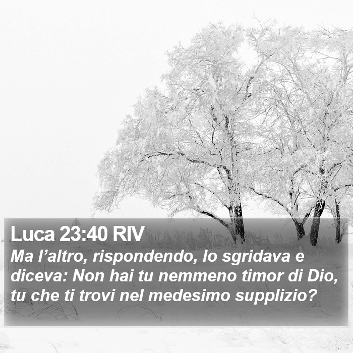 Luca 23:40 RIV Bible Study