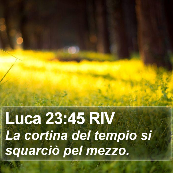 Luca 23:45 RIV Bible Study