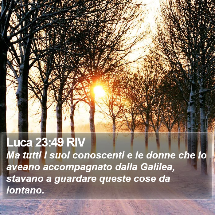 Luca 23:49 RIV Bible Study