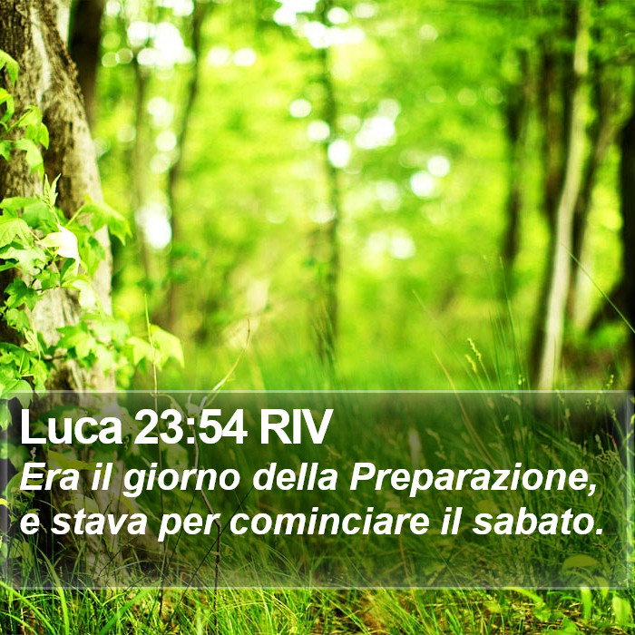 Luca 23:54 RIV Bible Study