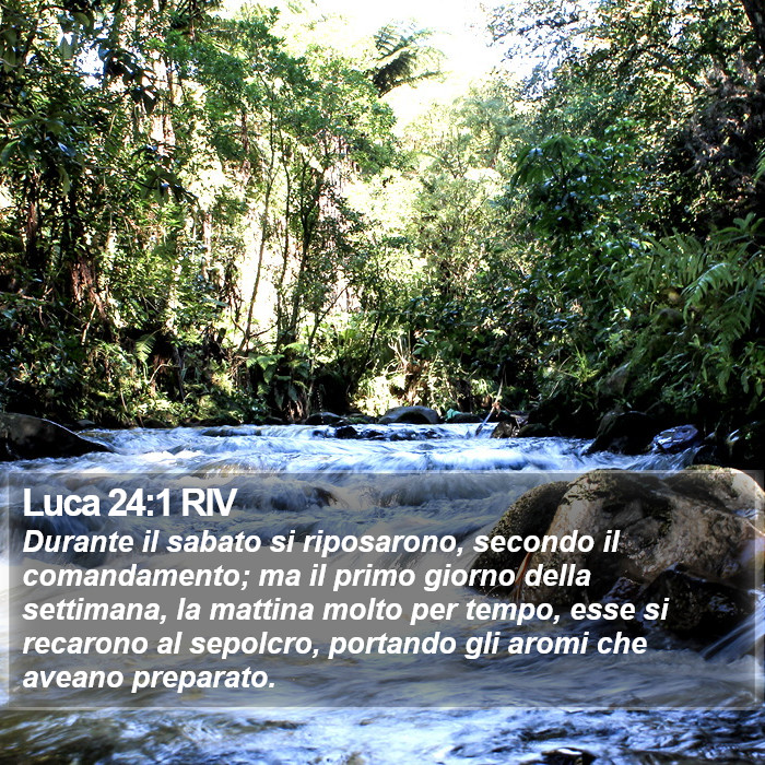 Luca 24:1 RIV Bible Study