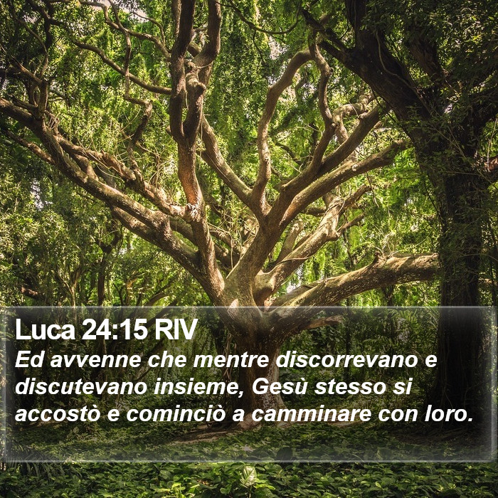 Luca 24:15 RIV Bible Study