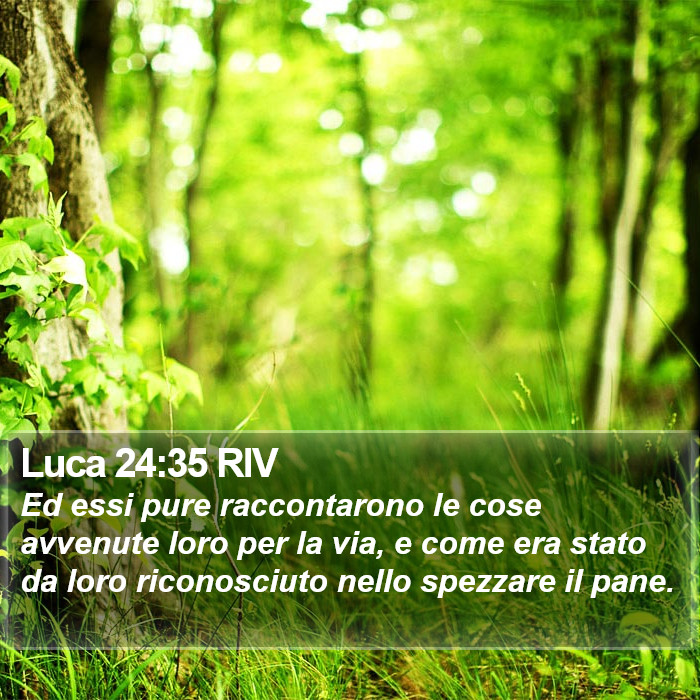 Luca 24:35 RIV Bible Study