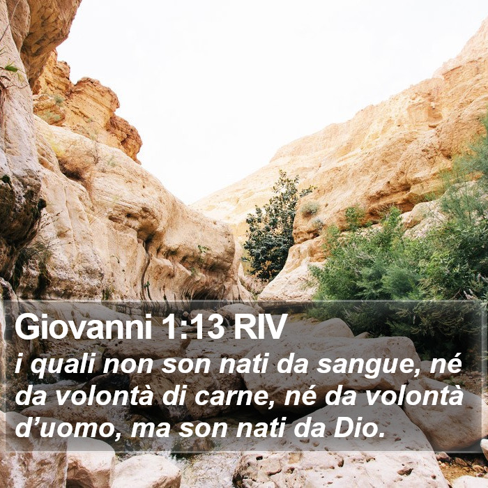 Giovanni 1:13 RIV Bible Study