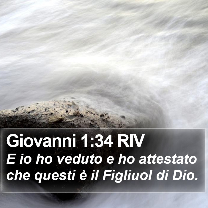 Giovanni 1:34 RIV Bible Study