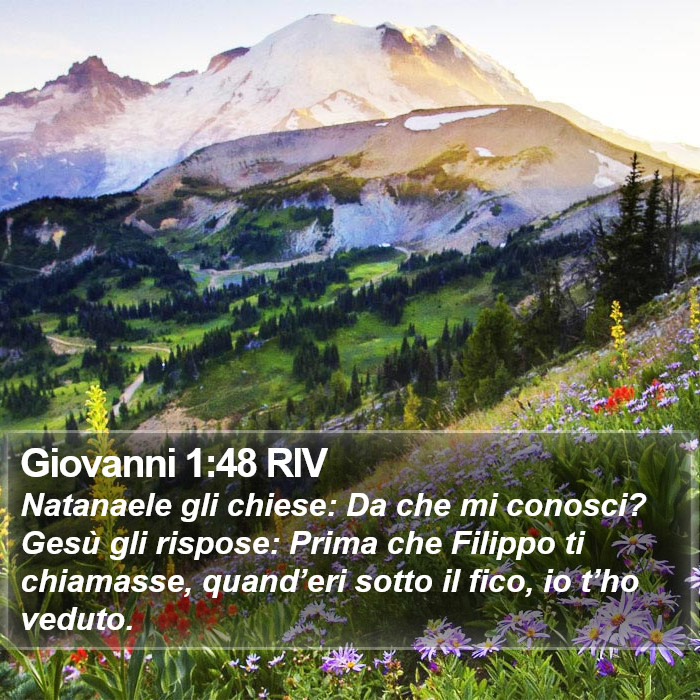 Giovanni 1:48 RIV Bible Study