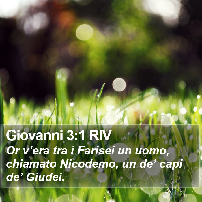 Giovanni 3:1 RIV Bible Study