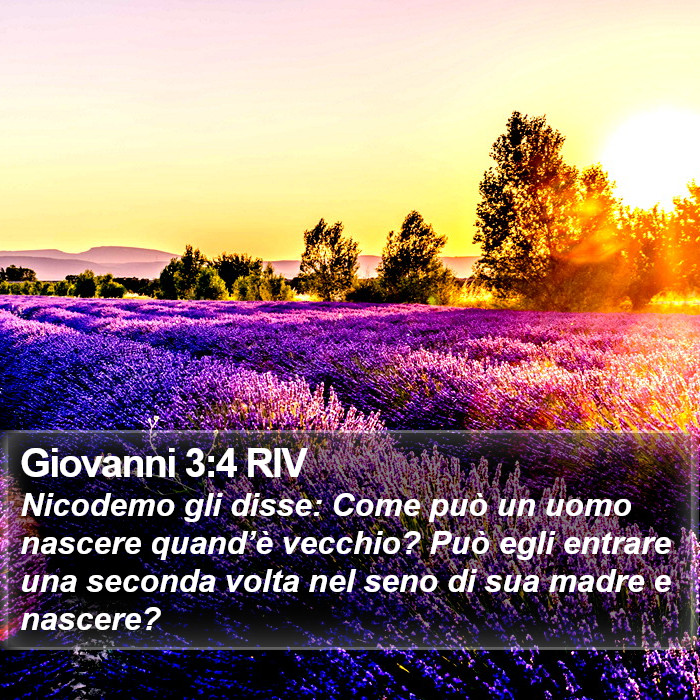 Giovanni 3:4 RIV Bible Study