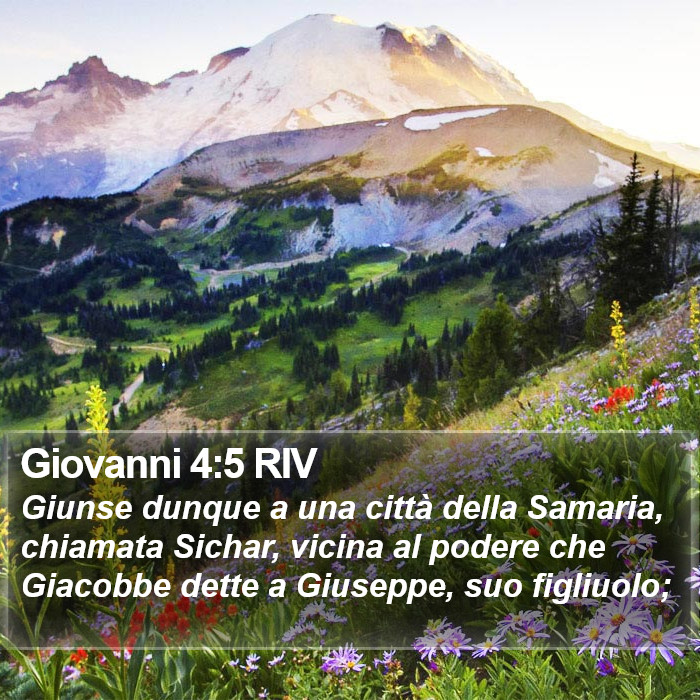 Giovanni 4:5 RIV Bible Study