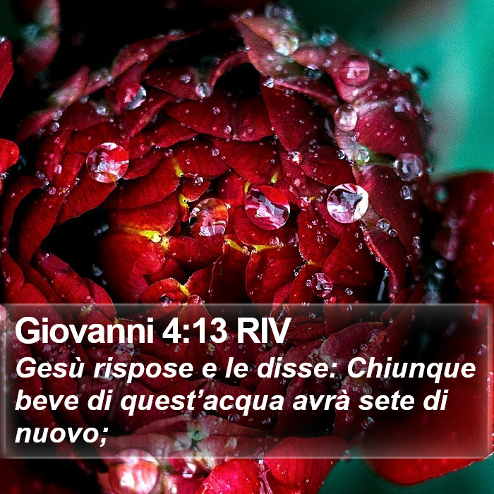 Giovanni 4:13 RIV Bible Study