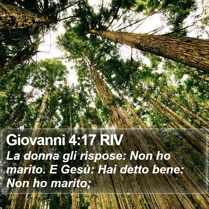 Giovanni 4:17 RIV Bible Study