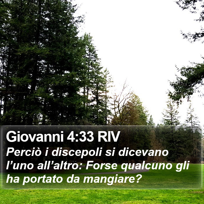 Giovanni 4:33 RIV Bible Study