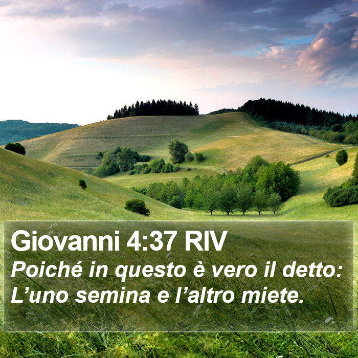Giovanni 4:37 RIV Bible Study
