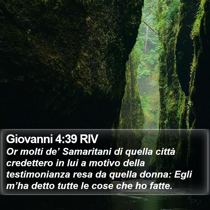 Giovanni 4:39 RIV Bible Study