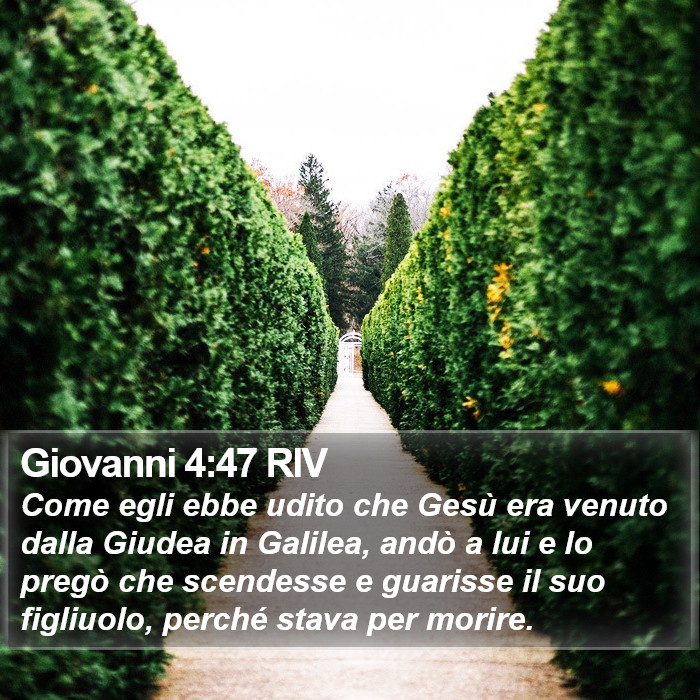 Giovanni 4:47 RIV Bible Study