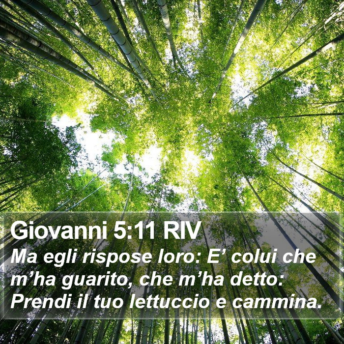 Giovanni 5:11 RIV Bible Study