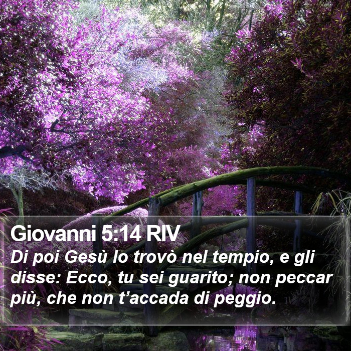 Giovanni 5:14 RIV Bible Study