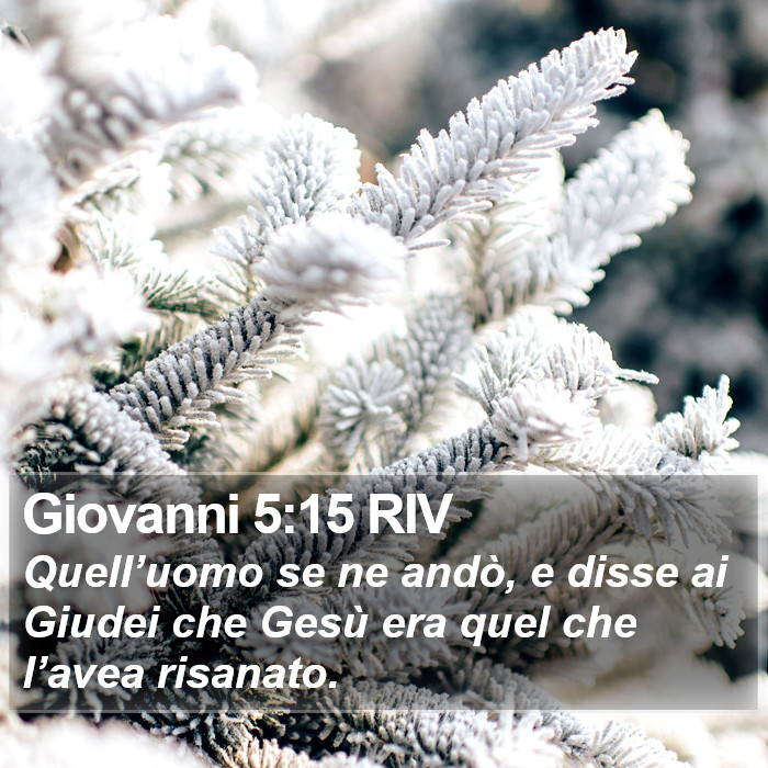 Giovanni 5:15 RIV Bible Study