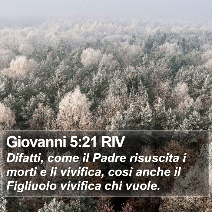 Giovanni 5:21 RIV Bible Study