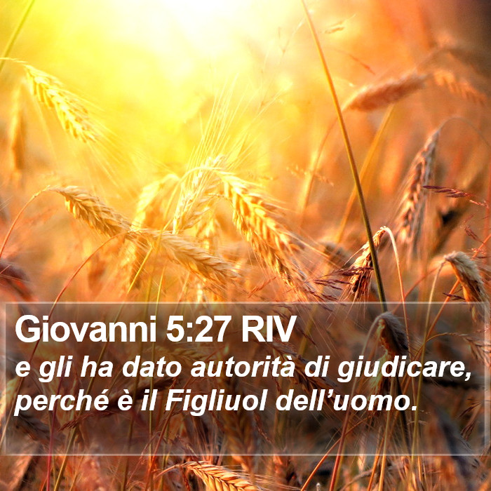 Giovanni 5:27 RIV Bible Study