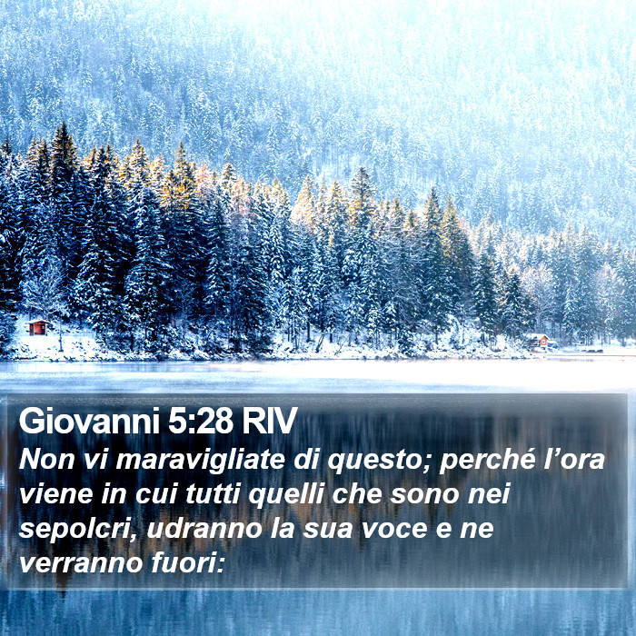 Giovanni 5:28 RIV Bible Study