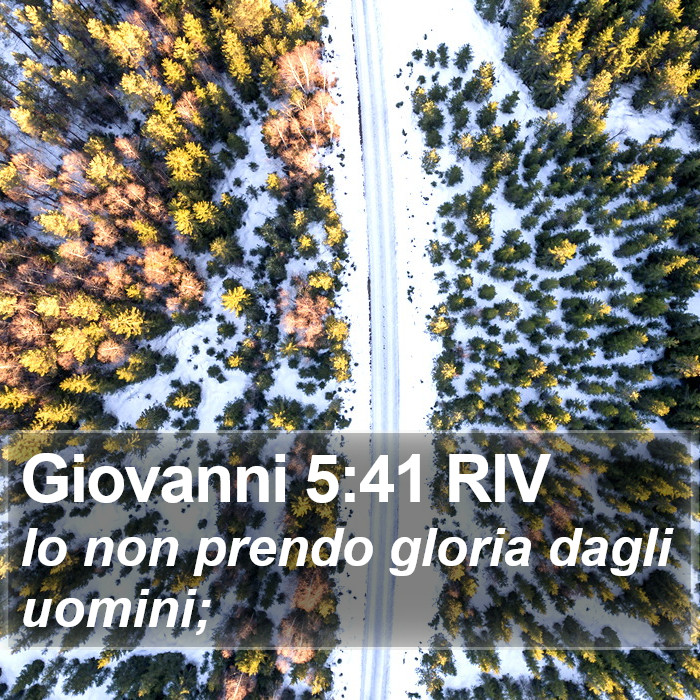 Giovanni 5:41 RIV Bible Study