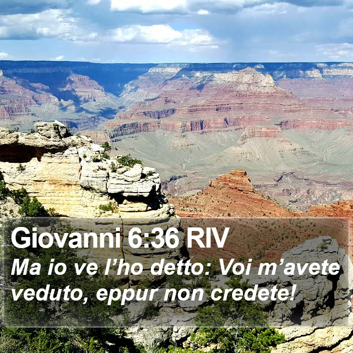 Giovanni 6:36 RIV Bible Study