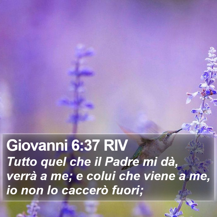 Giovanni 6:37 RIV Bible Study