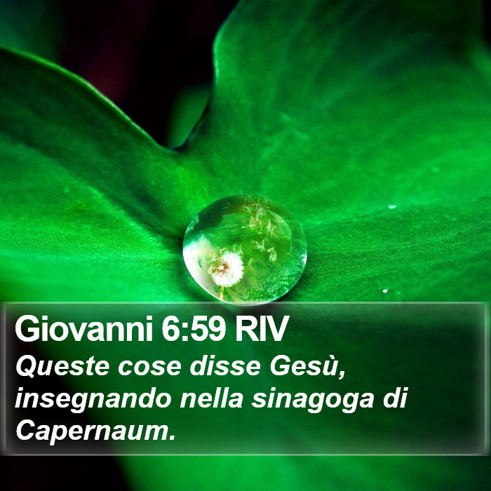 Giovanni 6:59 RIV Bible Study