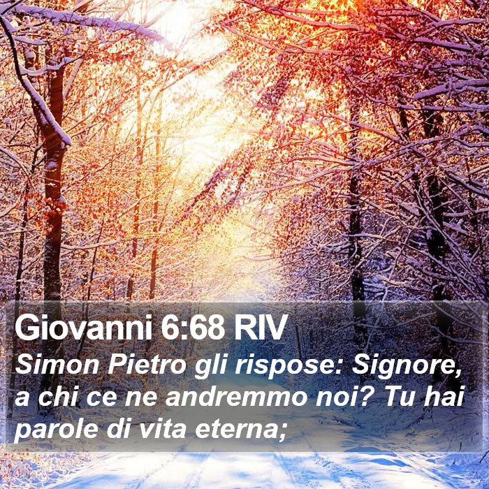 Giovanni 6:68 RIV Bible Study