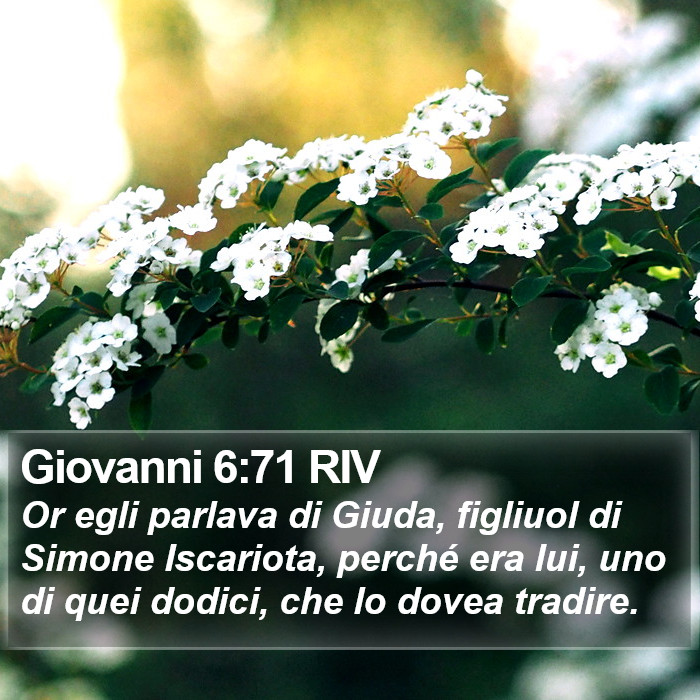 Giovanni 6:71 RIV Bible Study