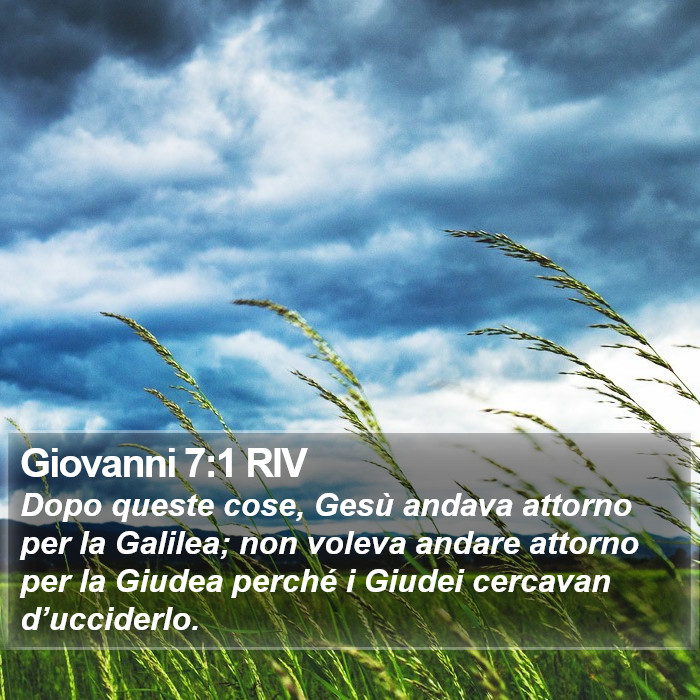 Giovanni 7:1 RIV Bible Study