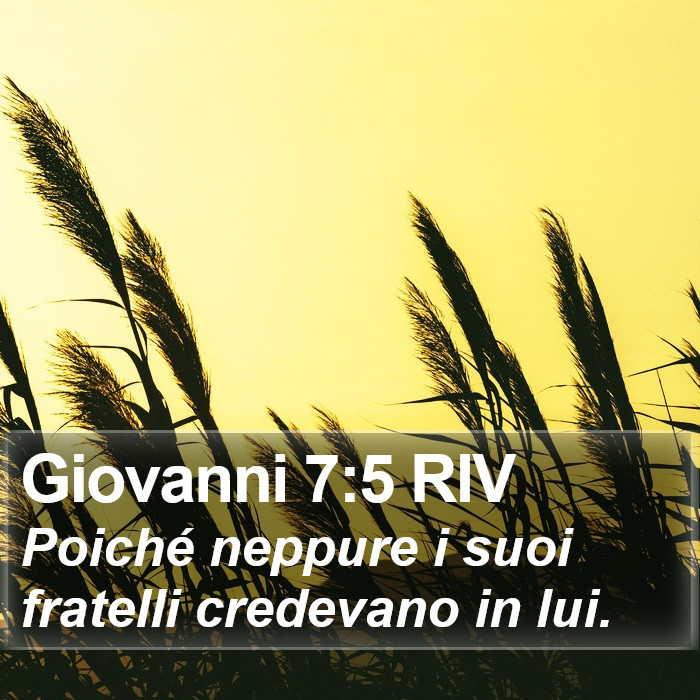Giovanni 7:5 RIV Bible Study