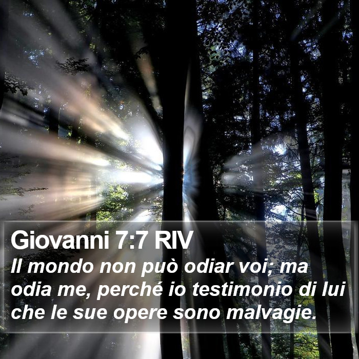 Giovanni 7:7 RIV Bible Study
