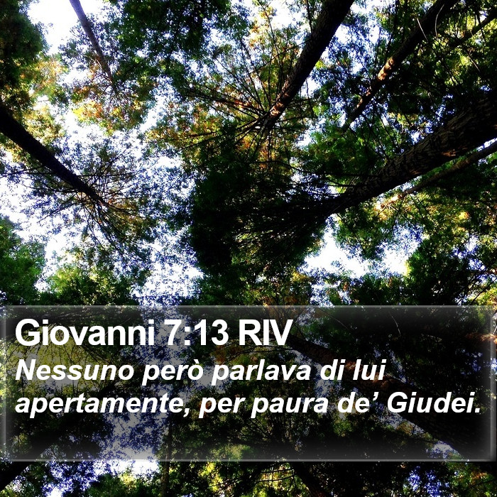 Giovanni 7:13 RIV Bible Study