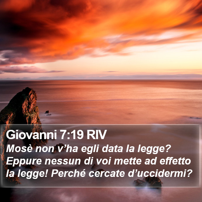 Giovanni 7:19 RIV Bible Study