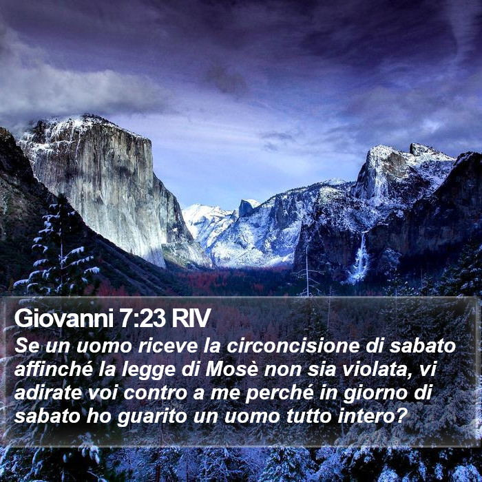 Giovanni 7:23 RIV Bible Study