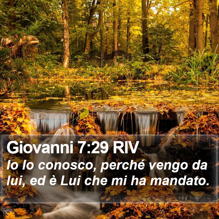 Giovanni 7:29 RIV Bible Study